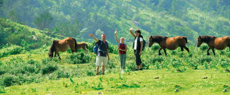 Vvf Pays Basque Sare La Rhune Exterior foto